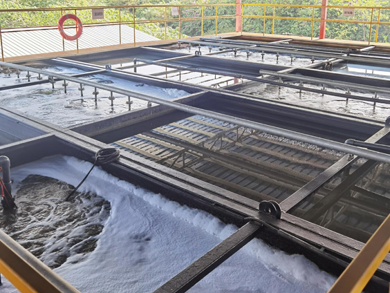 1684811173414337.jpg